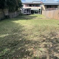 Beautiful manicured lawn after professional mowing — Brisbane