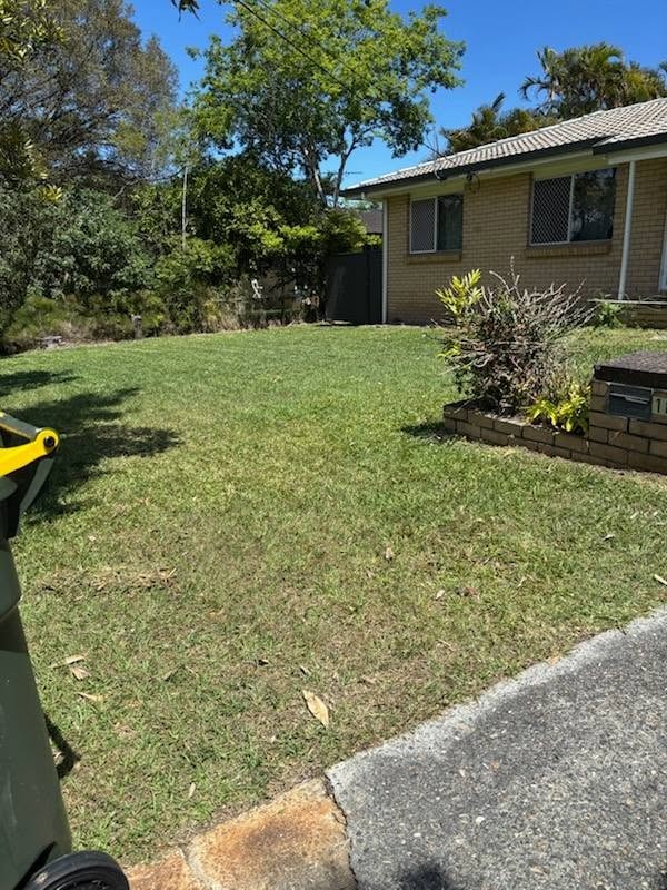 Neat lawn after professional mowing — Brisbane