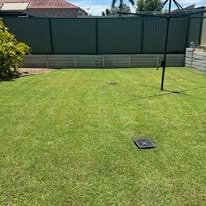 Neat tidy backyard after professional mowing — Brisbane