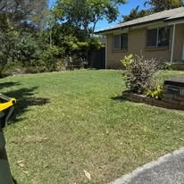 Clean tidy garden after professional maintenance — Brisbane