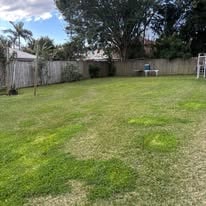 Neatly trimmed hedge after professional service — Brisbane