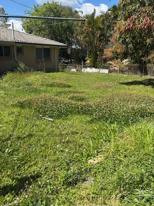 Overgrown lawn before mowing — Brisbane