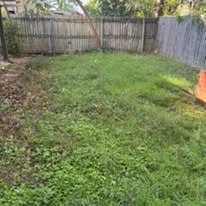 Overgrown lawn before mowing — Brisbane