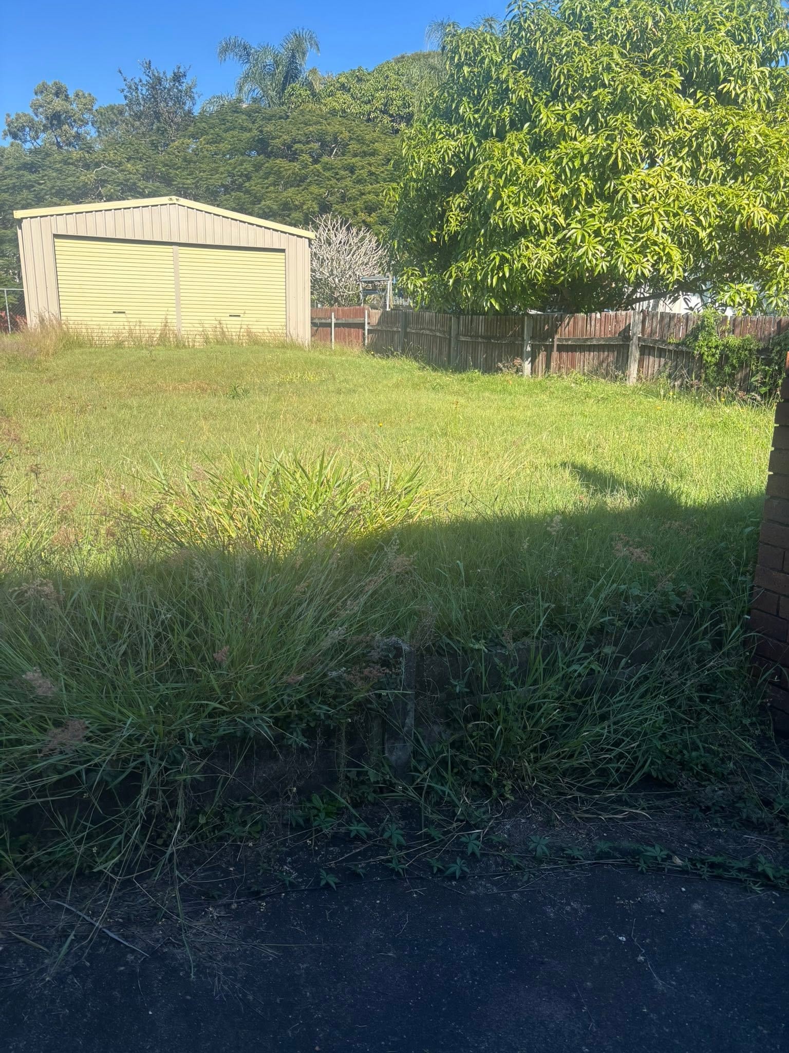Neglected garden before maintenance — Brisbane