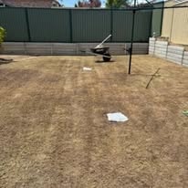 Overgrown backyard before mowing — Brisbane