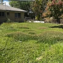 Neglected garden before cleanup — Brisbane