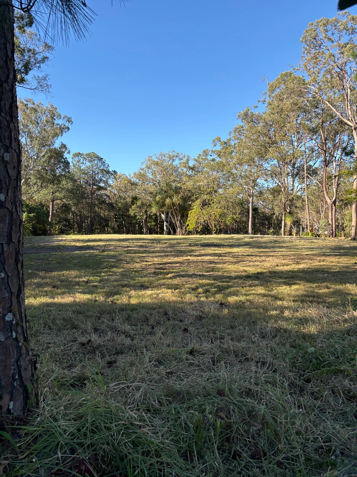 Acreage block after slashing — neat finish Brisbane